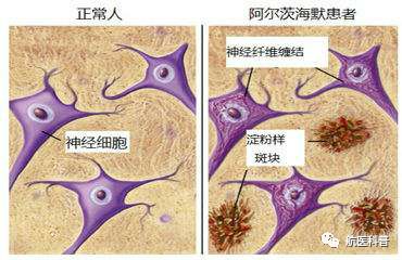 微信图片_20191122113415.jpg