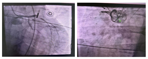 DM_20260226154854_002.jpg DM_20260226154854_002.jpg