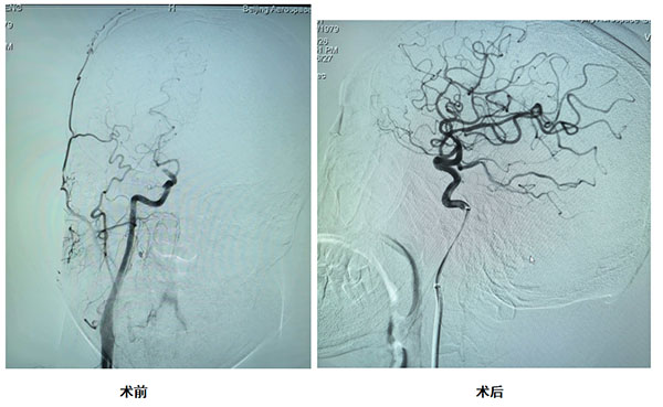 DM_20260312095851_004.jpg DM_20260312095851_004.jpg