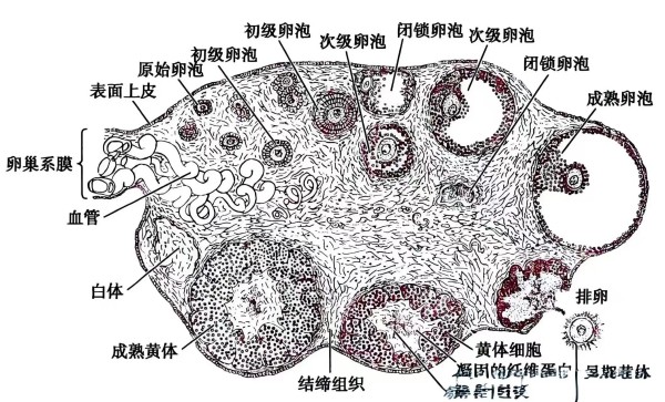 DM_20260511111134_002.jpg